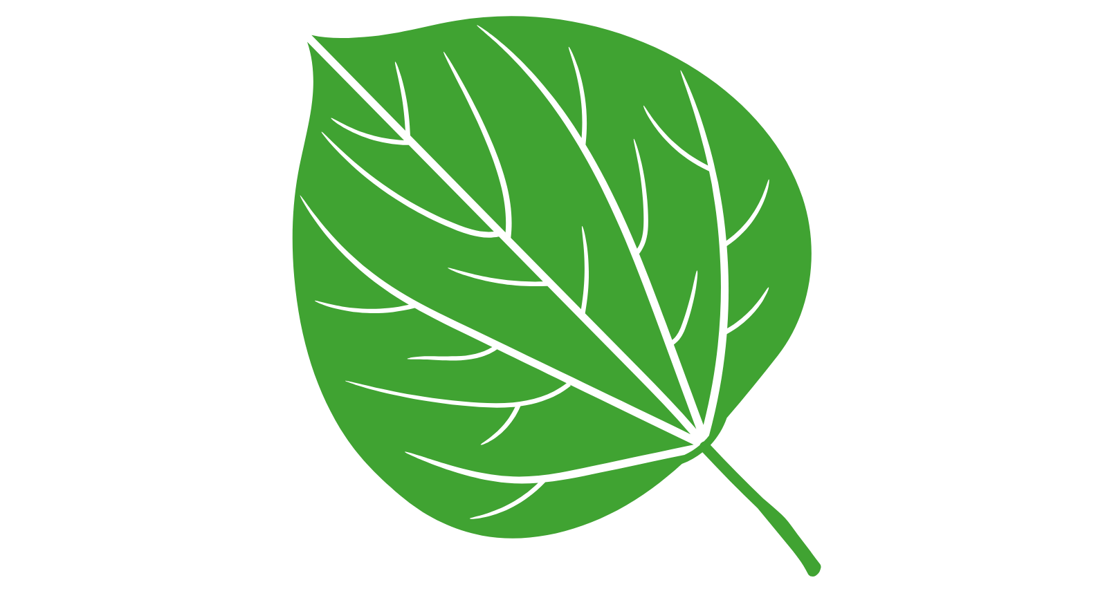 Battle of the Botanicals Eastern Redbud leaf
